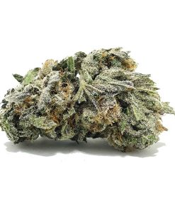 Biscotti AA