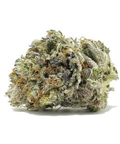 Purple Punch AAAAA