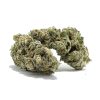 Miracle Alien Cookies #1 AAAAA