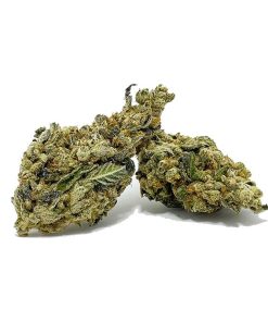 Grapefruit AA