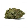 Coastal OG AAAA