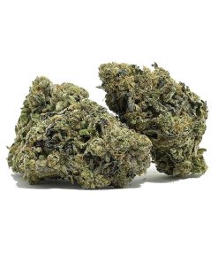 Royal Cookies AAAA