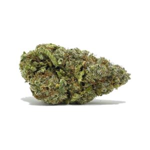 Sundae Driver AAAA