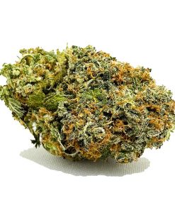 Citrus Haze AA