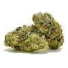 Durban Poison AAA