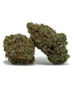 Gas Monkey AA