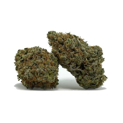 Gas Monkey AA