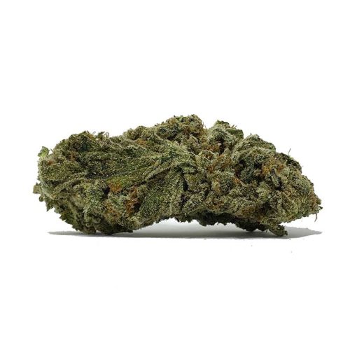 Gelato AA