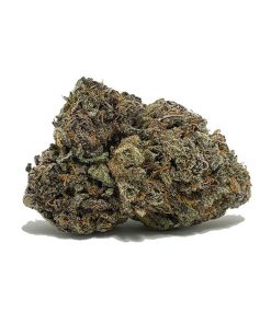 Gorilla Grapes AAA