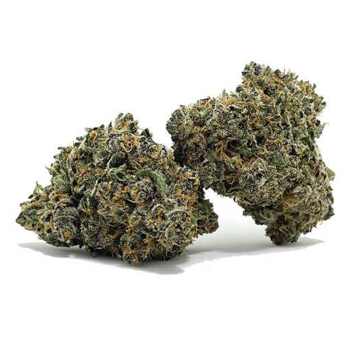Grease Monkey AAA