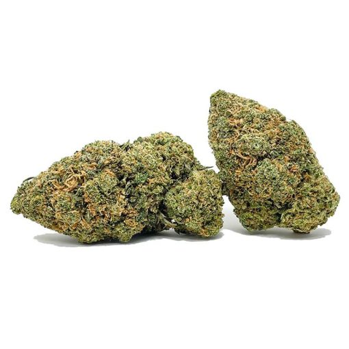 Northern Lights AA