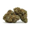 Orange Crush AA