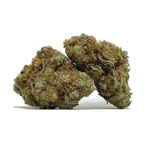 Orange Crush AA