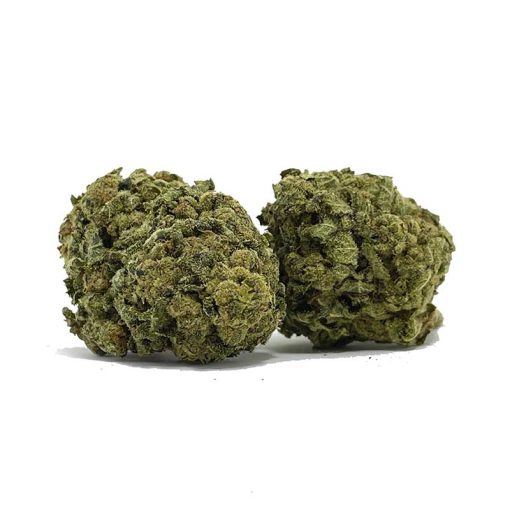 Red Congolese AA