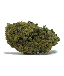 Tangie AA
