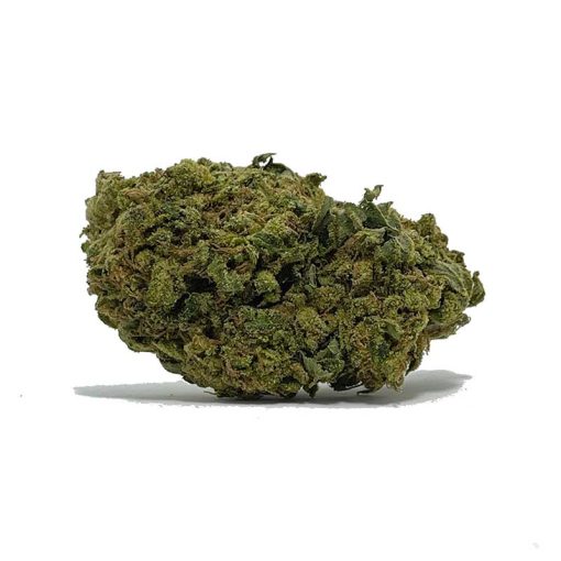 Tangie AA